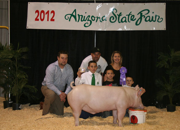 12 Champion Yorkshire Arizona State Fair