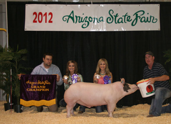 12- Grand Champion Overall Arizona State Fair