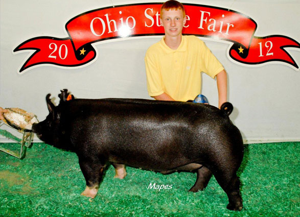 12 Grand Champion Barrow Star of Texas Fair Taylor Walker