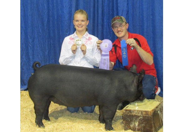 S&K Showpigs Champion