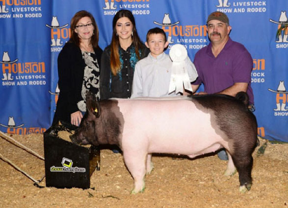 S&K Showpigs Champion