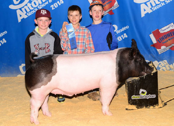 S&K Showpigs Champion