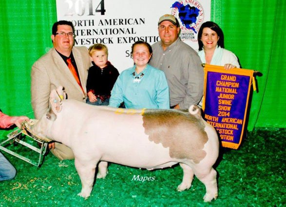 14 Grand Champion Collin County, TX Shown by Ashtyn Carr