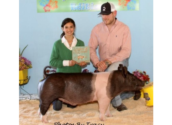 14 Grand Champion Collin County, TX Shown by Ashtyn Carr