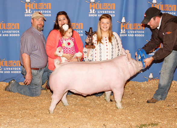 S&K Show Pigs Chapion