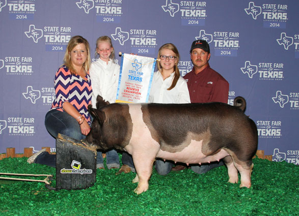 14 Grand Champion Collin County, TX Shown by Ashtyn Carr