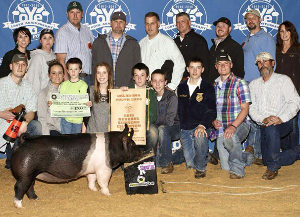 Reserve Champion Gilt 2015 OYE